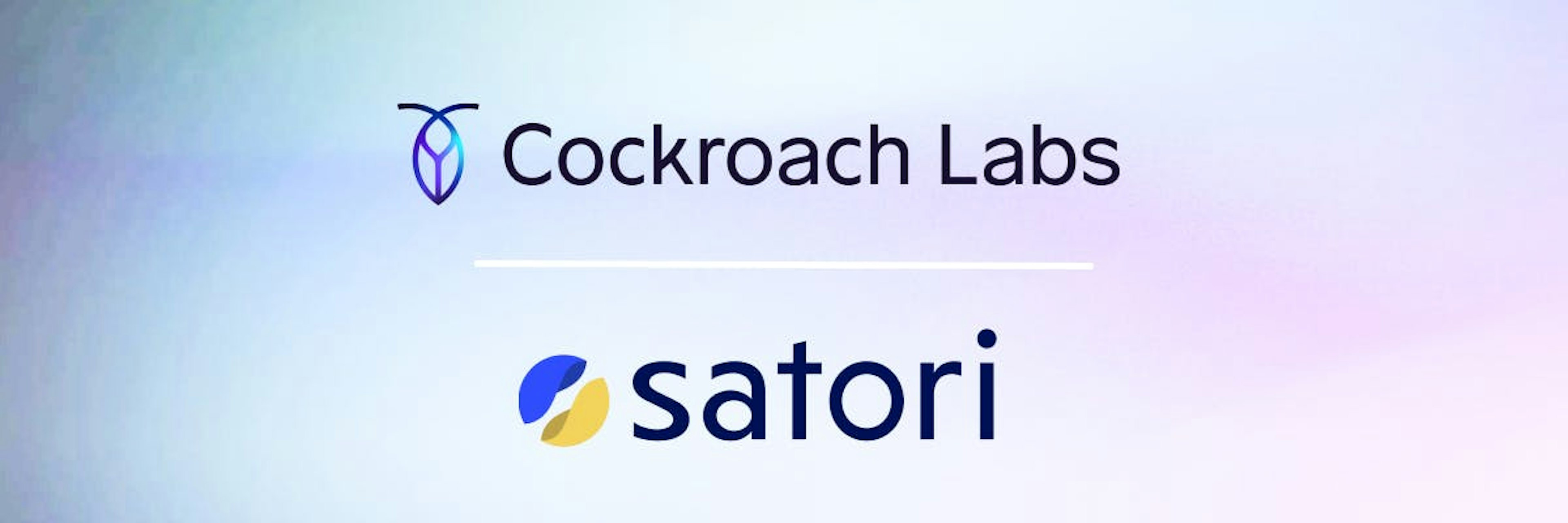 satori partner blogimage