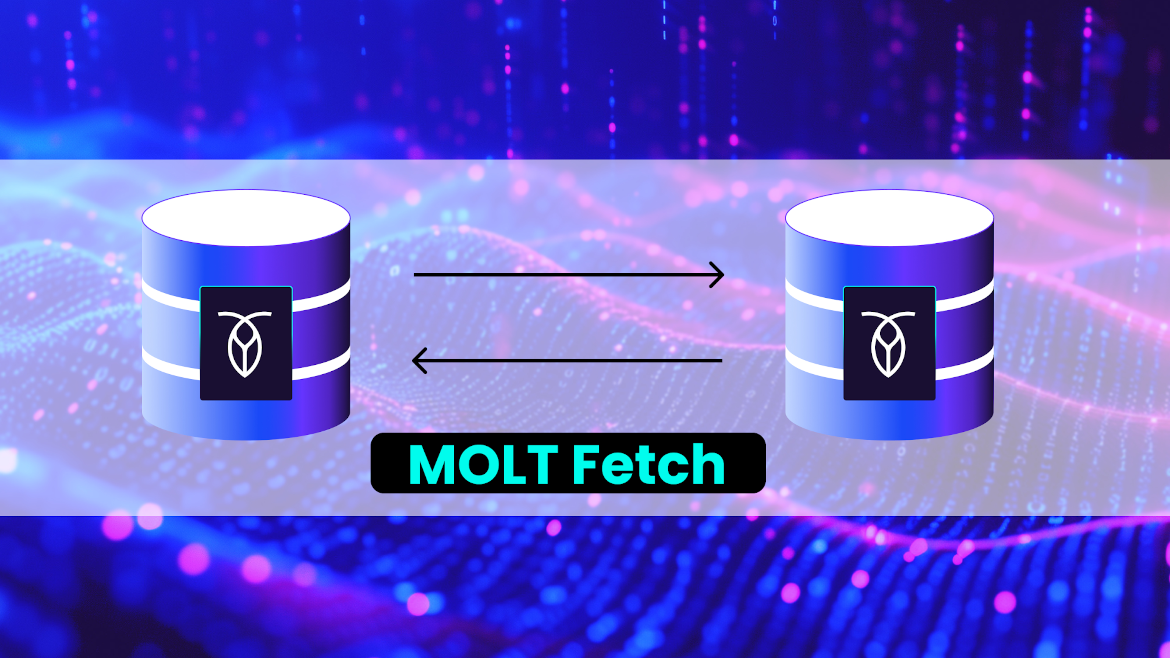 MOLT Fetch Cockroach Labs PNG TWO