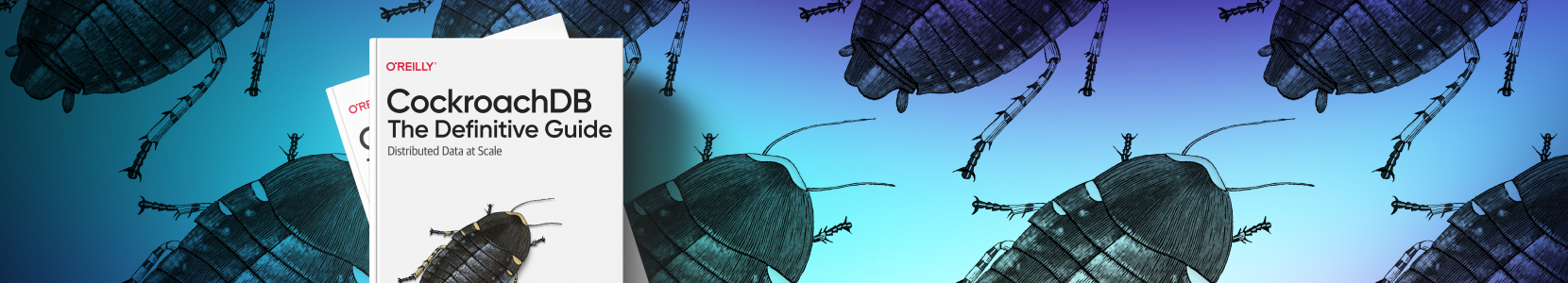 Webinar image for LP desktop Founders- Series O’Reilly’s Definitive Guide